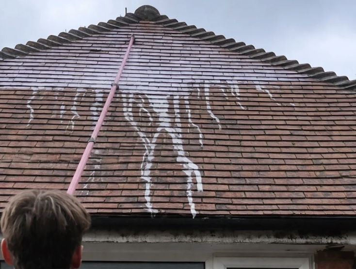 Biocide treatment applied to roof