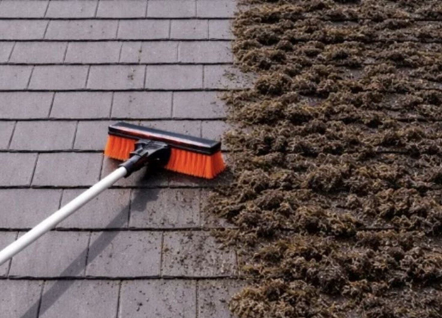 Red tiled roof half mossed and half cleaned by Arcline