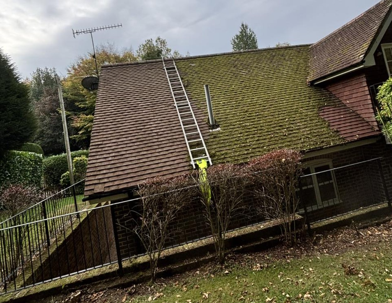 A full house roof treated for moss